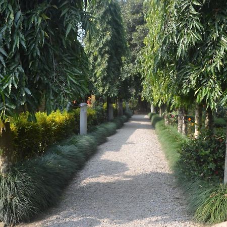 River View Jungle Camp سوراها الغرفة الصورة