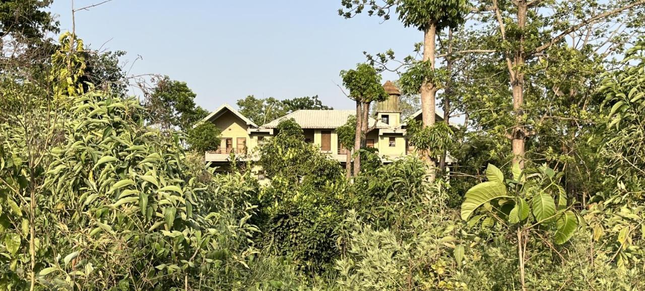 River View Jungle Camp سوراها المظهر الخارجي الصورة