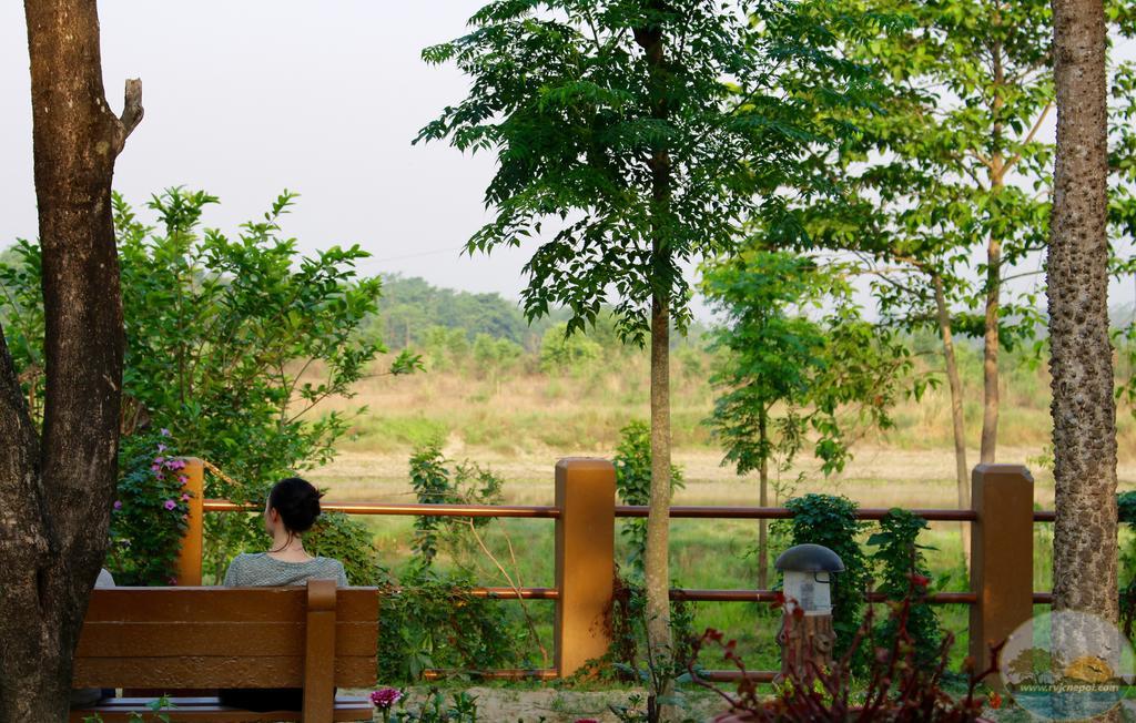 River View Jungle Camp سوراها المظهر الخارجي الصورة