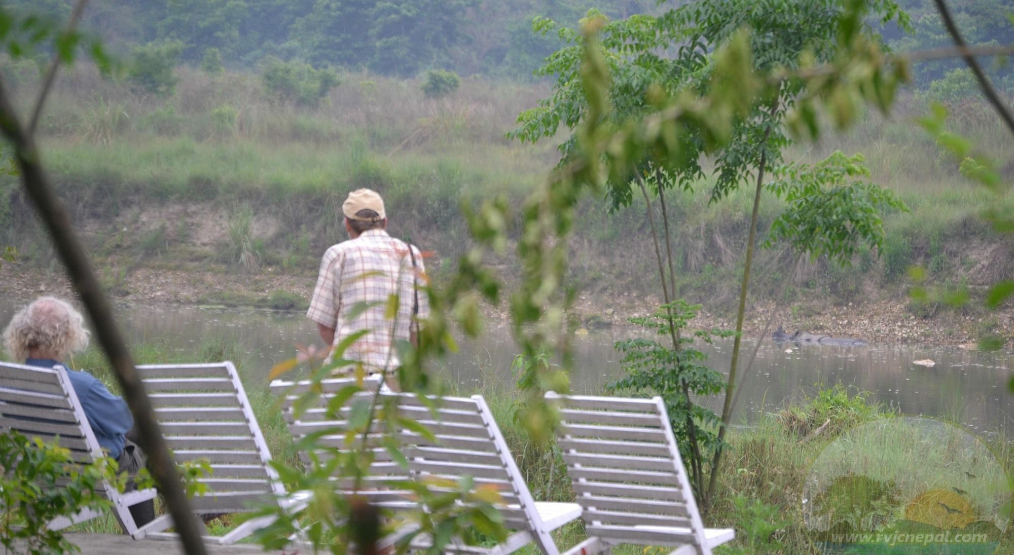 River View Jungle Camp سوراها المظهر الخارجي الصورة