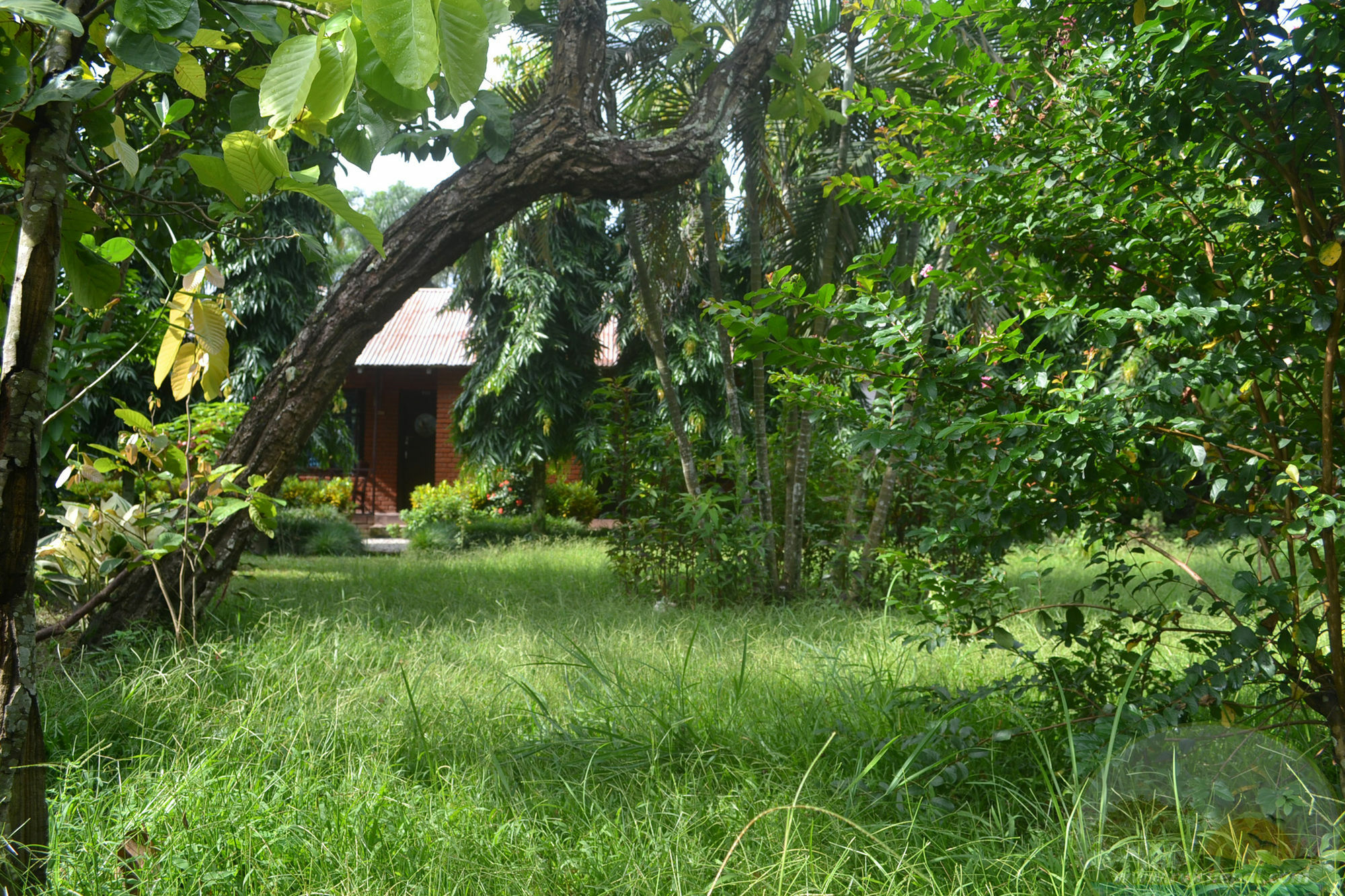 River View Jungle Camp سوراها المظهر الخارجي الصورة