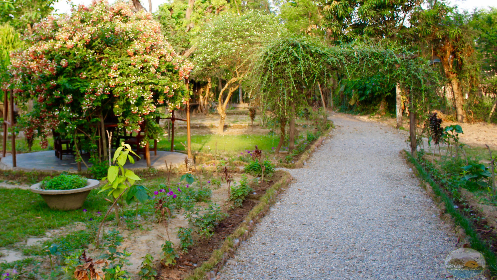 River View Jungle Camp سوراها المظهر الخارجي الصورة